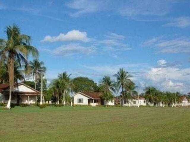 #10059 - Fazenda para Venda em Rondolândia - MT - 3