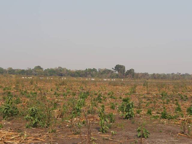 #10061 - Fazenda para Venda em Poconé - MT - 2