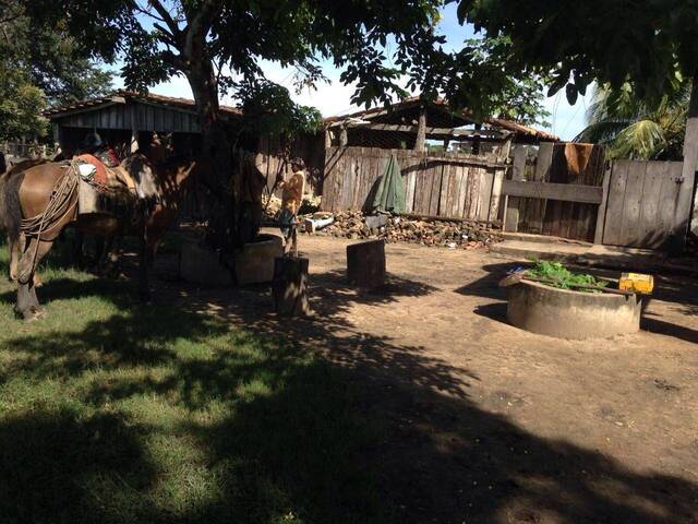 #10061 - Fazenda para Venda em Poconé - MT - 3