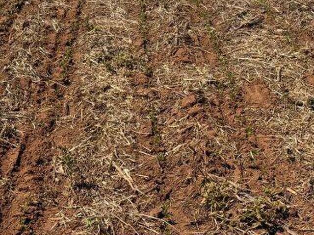 Fazenda para Venda em Novo São Joaquim - 4