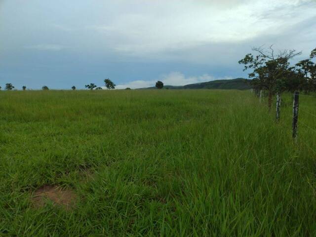 #10066 - Fazenda para Venda em Barra do Garças - MT - 2