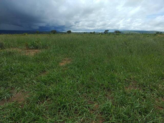 Fazenda para Venda em Barra do Garças - 4