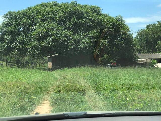#10067 - Chácara para Venda em Cáceres - MT - 2