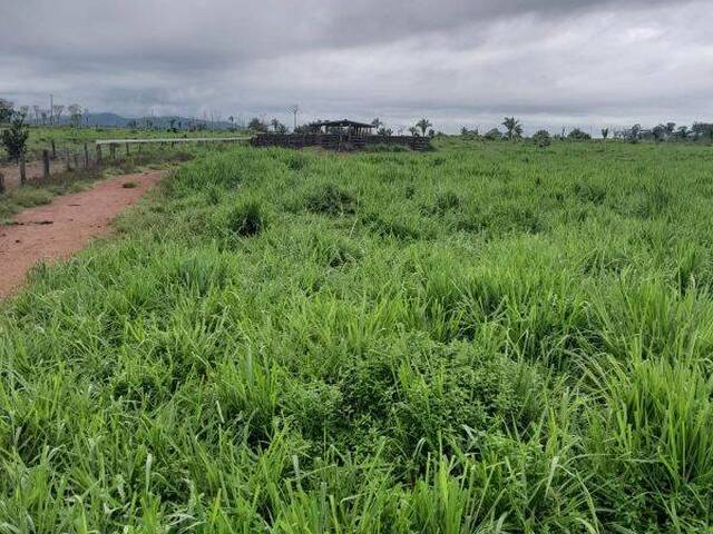 #10072 - Fazenda para Venda em Comodoro - MT - 2