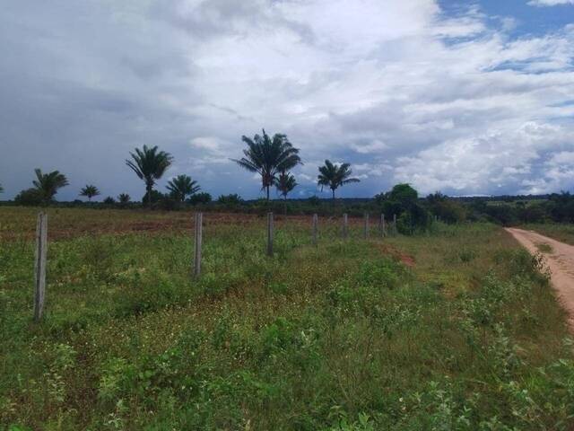 #10075 - Fazenda para Venda em Juara - MT - 3