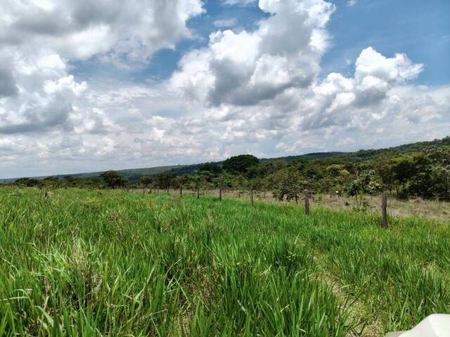 Fazenda para Venda em Campo Verde - 2