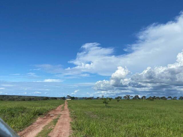Fazenda para Venda em Campo Verde - 3