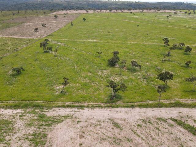 Fazenda para Venda em Campo Verde - 4