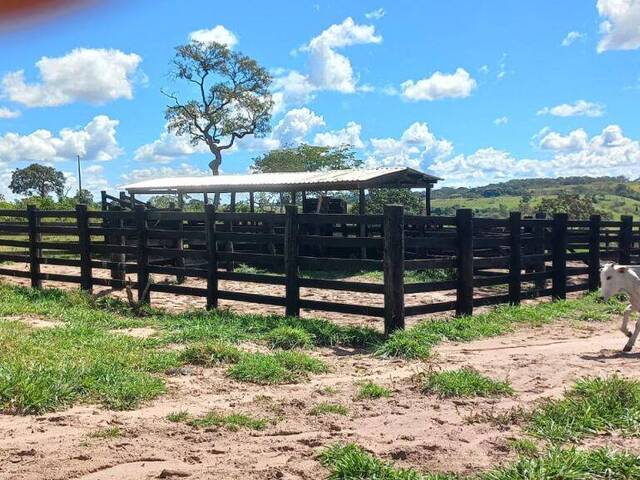 Fazenda para Venda em Campo Verde - 5