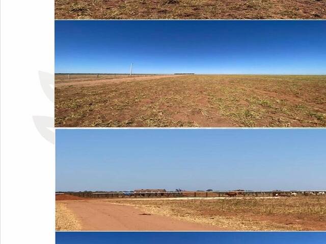 #10078 - Fazenda para Venda em Gaúcha do Norte - MT - 3