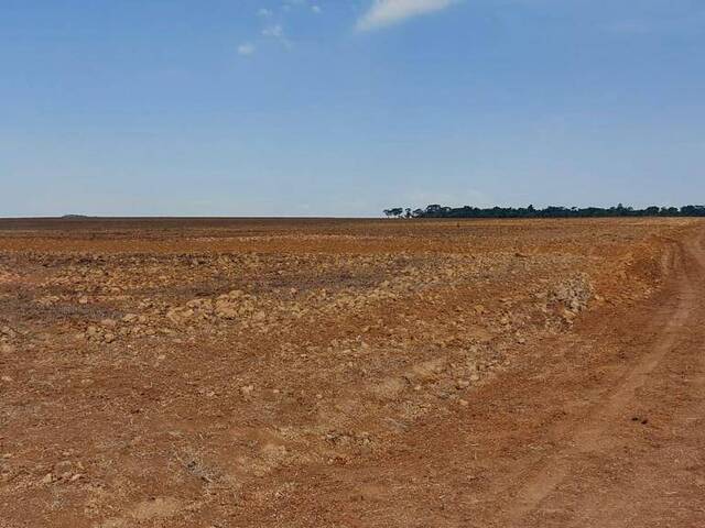 Fazenda para Venda em Matupá - 2