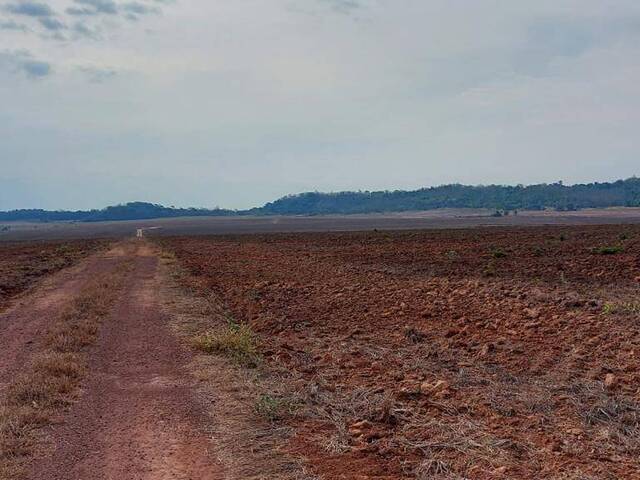 Fazenda para Venda em Matupá - 3