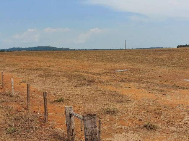 Fazenda para Venda em Matupá - 4