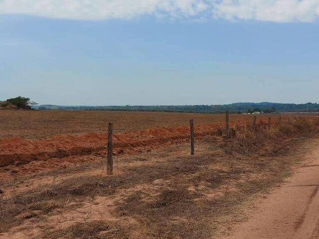 Fazenda para Venda em Matupá - 5