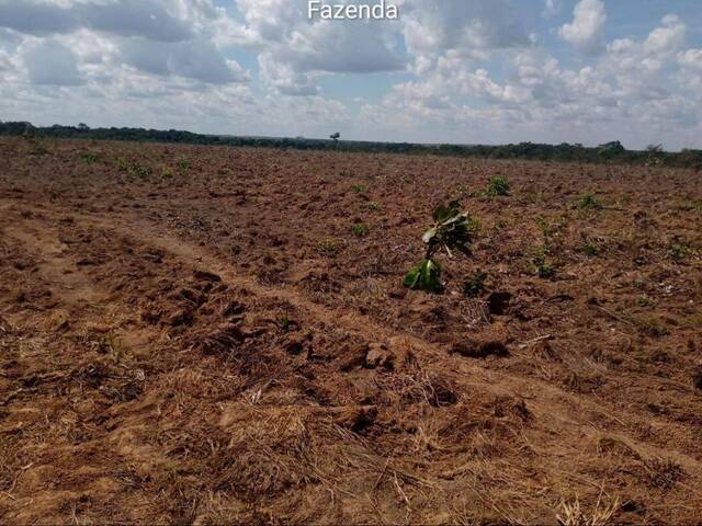 Fazenda para Venda em Rosário Oeste - 2