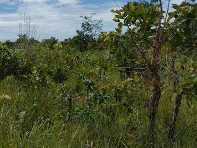 Fazenda para Venda em Rosário Oeste - 5