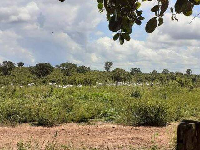 #10086 - Fazenda para Venda em Paranatinga - MT - 2