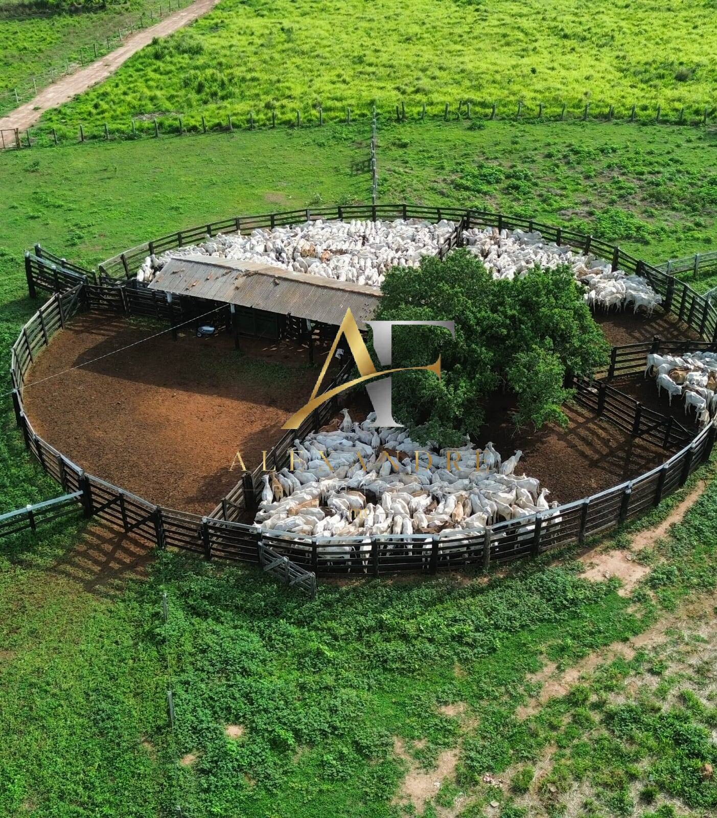 Fazenda, 630 m² - Foto 2