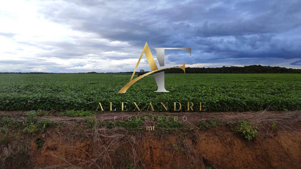 Terreno, 1004 m² - Foto 6