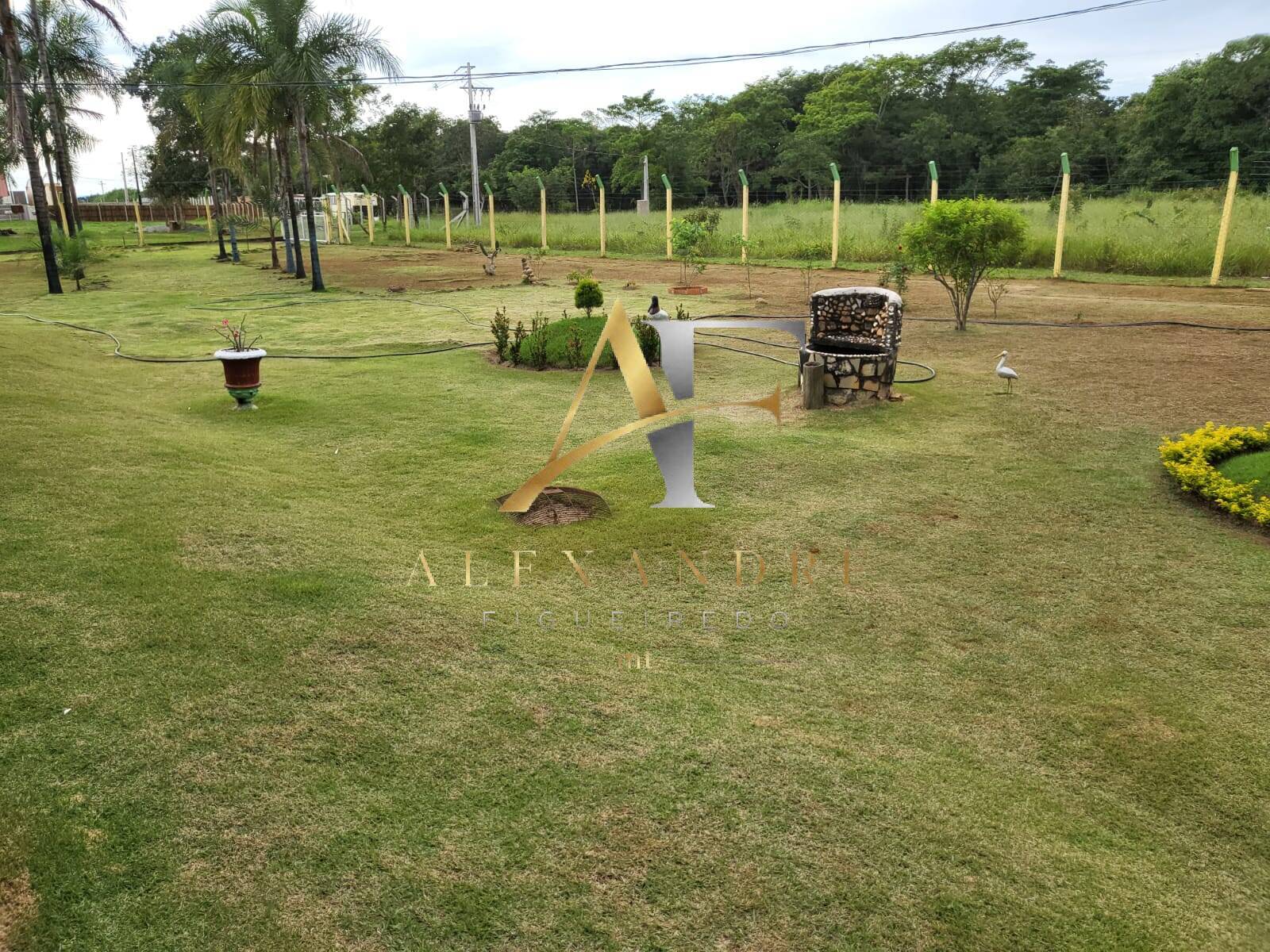Sítio, 1 hectares - Foto 3