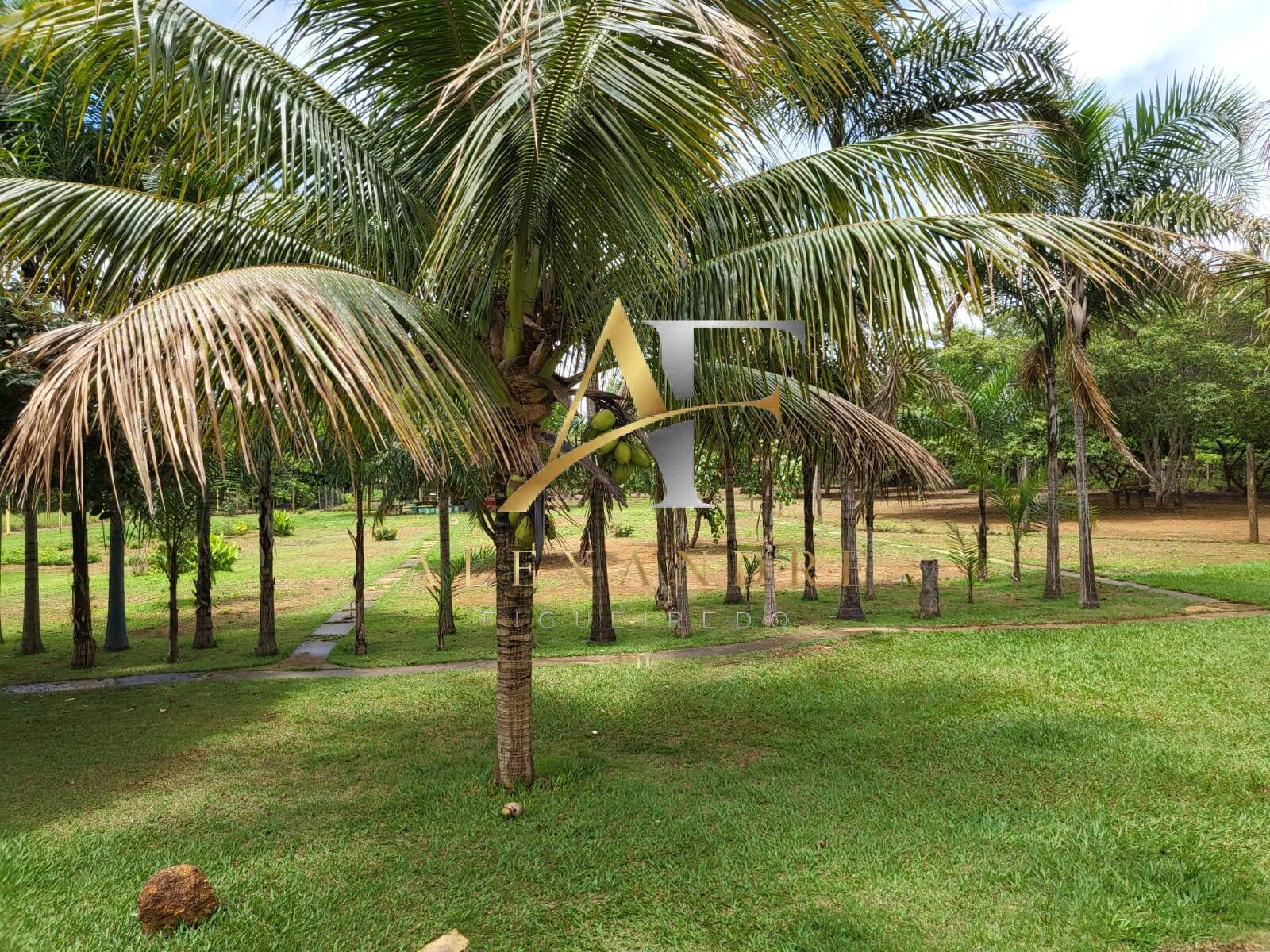 Sítio, 1 hectares - Foto 4