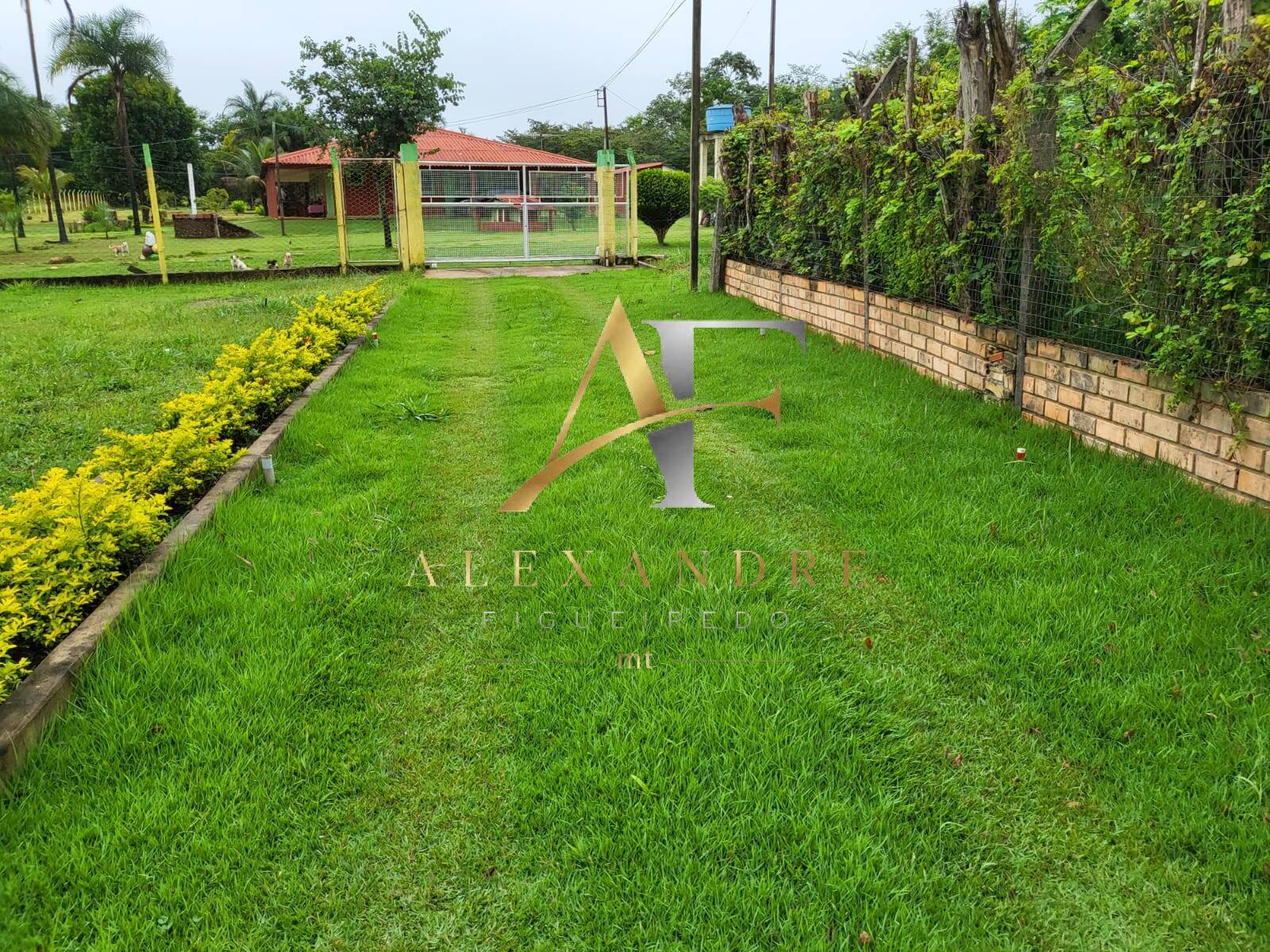 Sítio, 1 hectares - Foto 6